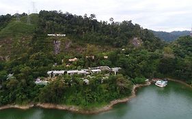 Belum Rainforest Resort